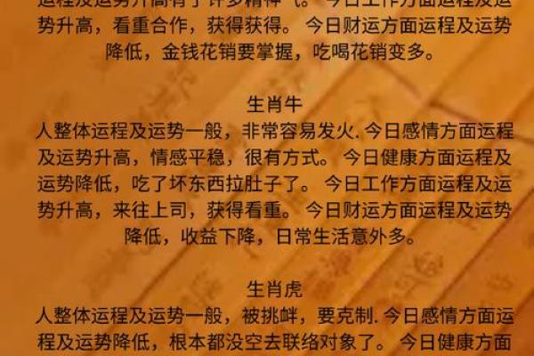 了解命理中阴的含义，揭开生肖背后的神秘面纱
