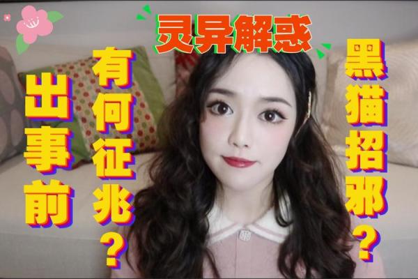 九五年的黑猫命运解析：神秘与命理的交织
