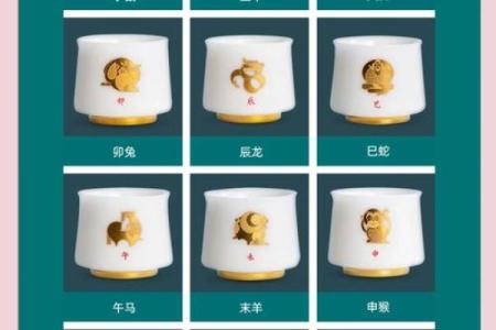命里七星的神秘动物:探寻生肖背后的深意与象征