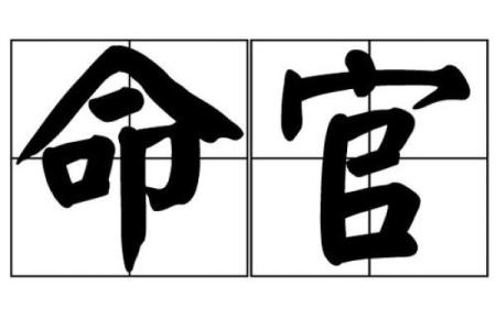探索命词的魅力:M命成语大全大揭秘!