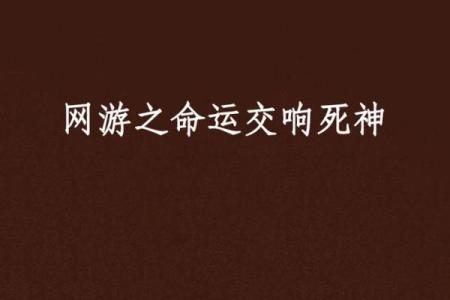 探秘女命晚年命局，揭示人生精彩交响曲