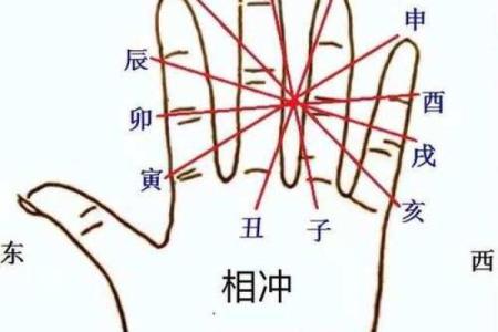 女命辰戌地支冲会：命理中的玄机与生活启示