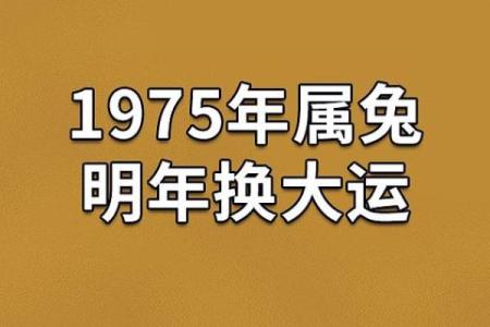 命理缺什么?考运差的背后真相和转机