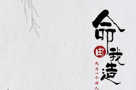 命由己造，相由心生：探寻内心的真实力量与美丽