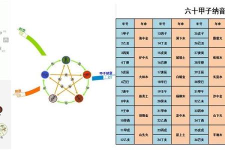 命属夹酉官贵，解读五行与命理的奥秘