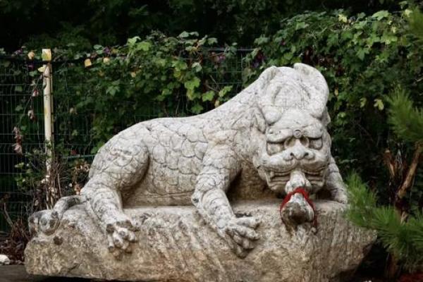命里犯水的朋友适合哪些瑞兽？让我们一起来探讨！