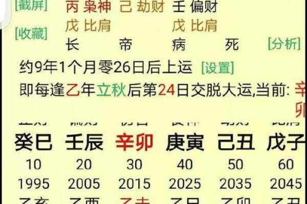 女命印旺，适合的行业与发展方向探析
