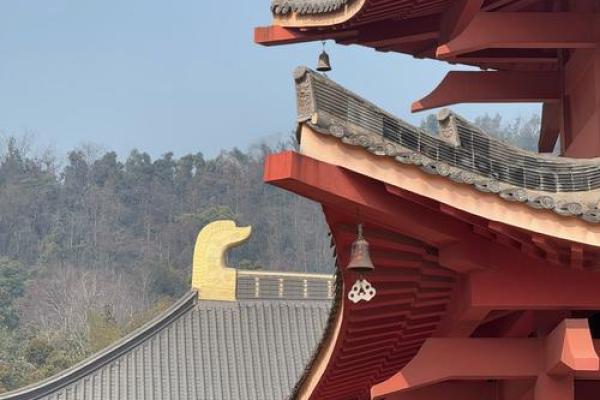 女命扎根寺庙：寻觅内心的安宁与归属之路