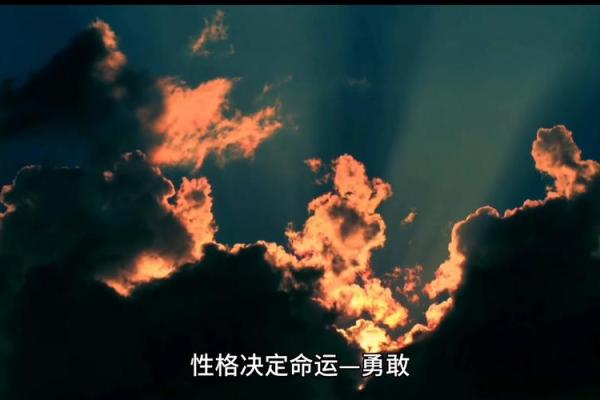 命里带剑：潜藏于命运之中的抗争与勇气