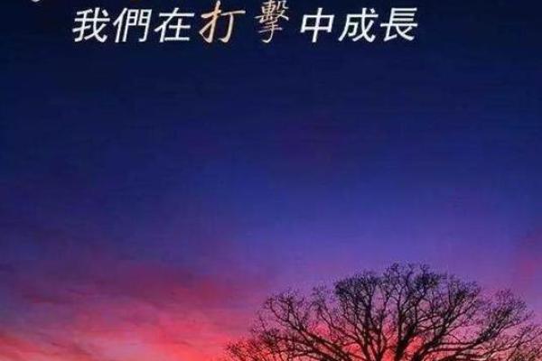 女命带孤苦的深层含义与人生解读