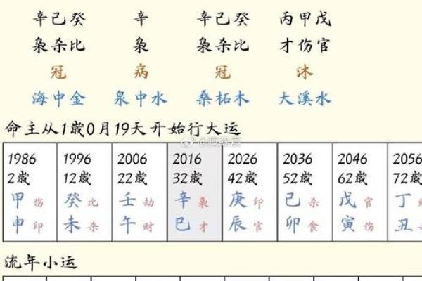 身弱食伤太重：解读男命的命理玄机与生活影响