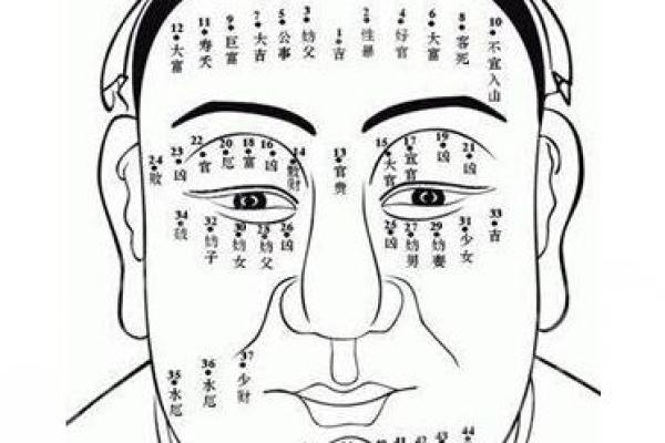 面相学揭秘：鼻子光亮暗示的命运与性格特征
