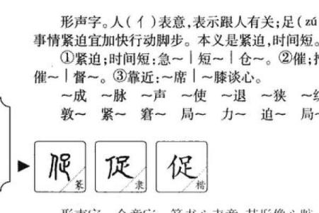探索“命”的深意:拼音、组词与人生哲学的完美融合