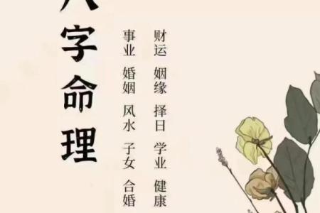 木命人缺什么?探秘五行命理与木命的幸福密码!