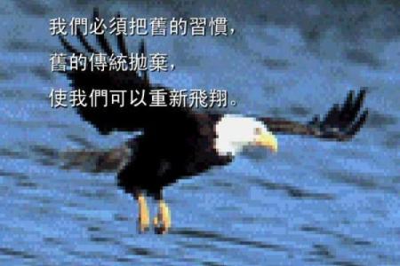探秘命局：木三局的深刻意义与人生启示