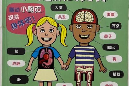 懵懂命格:命运与认知的奇妙交汇