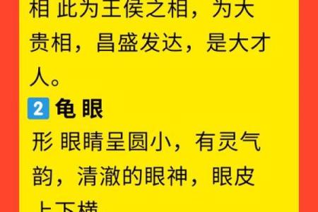 面相学揭秘:鼻子光亮暗示的命运与性格特征