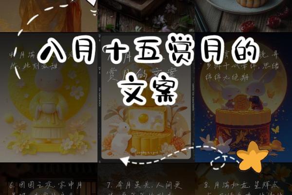 女孩的八月十五命运解析：月圆之夜的背后故事