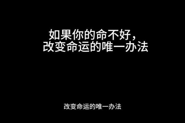 命运与音乐：探讨《命命命命命》的深层含义与情感传递