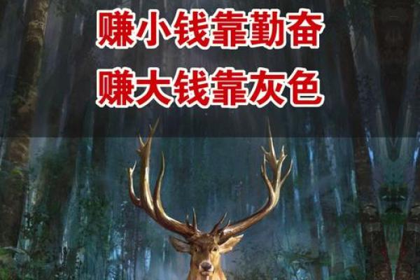 探索坤命东四命：解锁人生的秘密与机遇