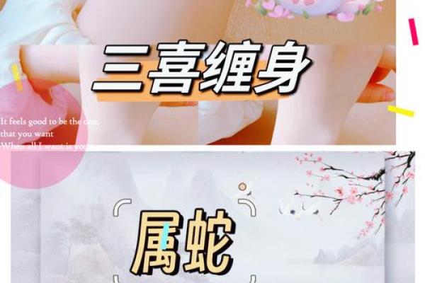 揭秘女生男命背后的深刻意义与影响