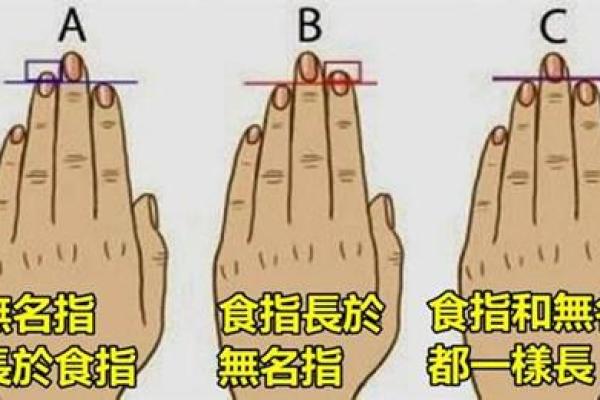 两头细中间粗的命格：揭示人生的秘密与机遇