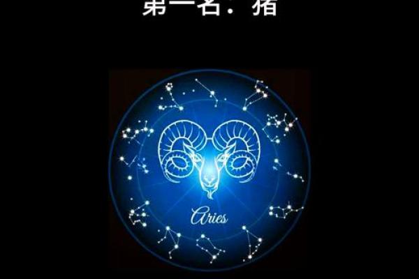 探寻木猪命之人佩戴的最佳木材，提升运势与和谐气场！