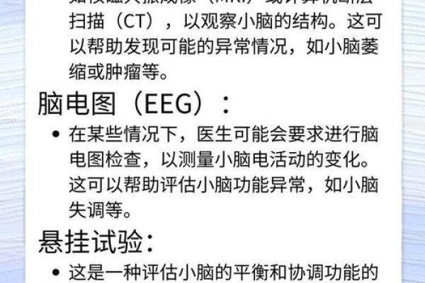 探索命命的奥秘：解读其意义与生活中的启示