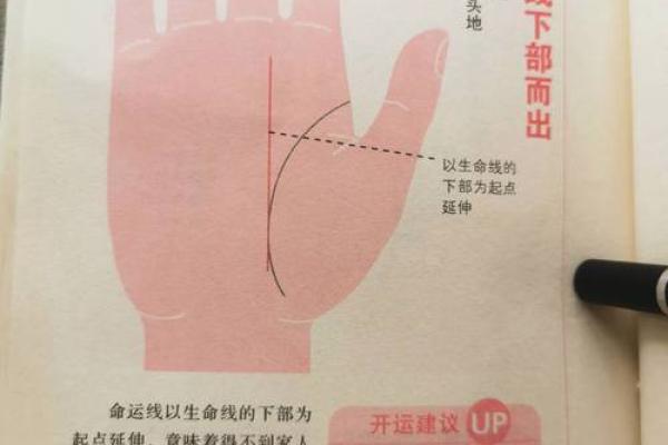 命线上的横纹：解读命运的秘密与启示