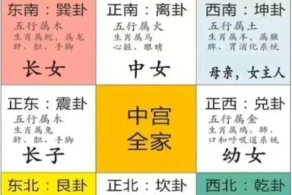 女孩八斤四两的命理解析：如何运用命理改善人生