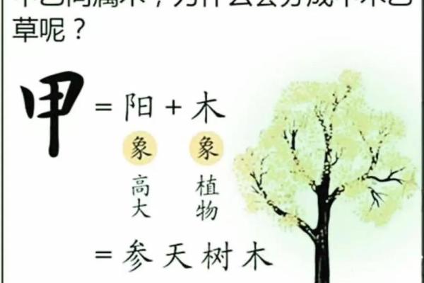 木疏通土重命格：解读命理中木与土的神秘关系