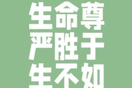命不堪命矣:生活的无常与坚韧不拔的希望