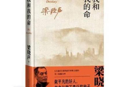 为何我会选择拥有《我女儿的命》这部小说，揭开人性的复杂与深邃