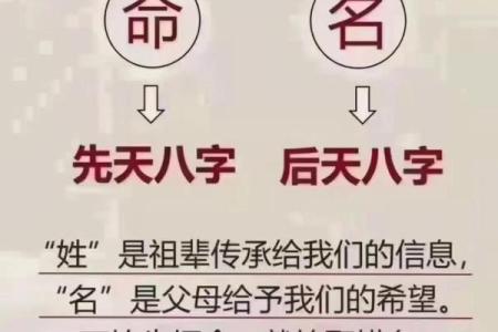 命运与音乐:探讨《命命命命命》的深层含义与情感传递