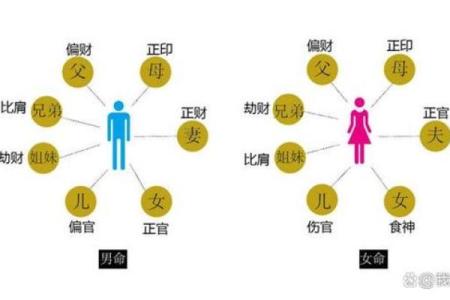 命理克伤:揭示人与命运之间的微妙关系