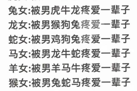 探索1994年狗年五行命理,揭秘狗年的命运与性格特征