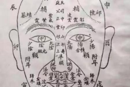面相与流年:如何通过女人的面相解密命运的变迁?