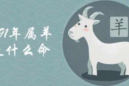 路旁土命羊女:缺什么与如何弥补的全面解析