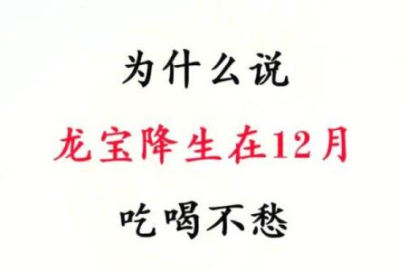 腊月出生的属龙人:命运的独特之旅与人生启示