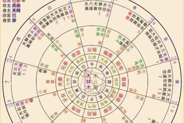 命理解读：哪些命格最旺盛，助你走向人生巅峰！