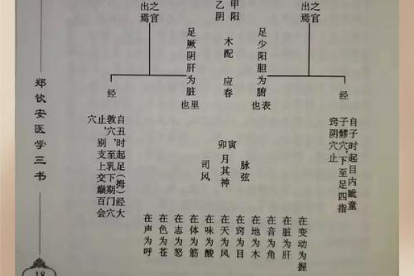 木命与匹配最佳命理分析：深度探讨五行相生的奥秘