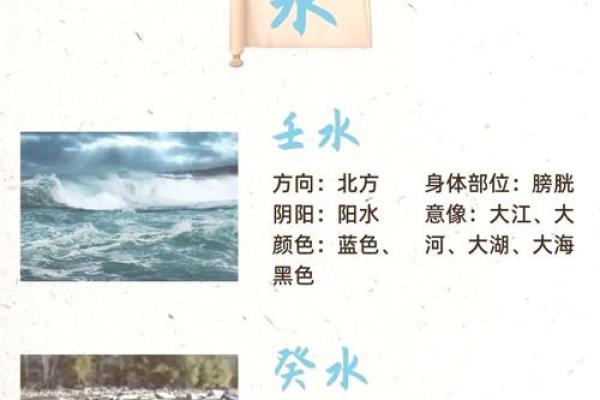 探索命理五行之奥秘：如何让生活更和谐快乐