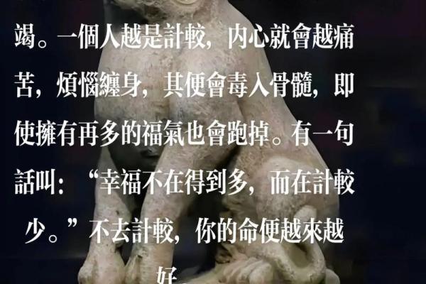 命不违命：取于命的深层意义与人生启示