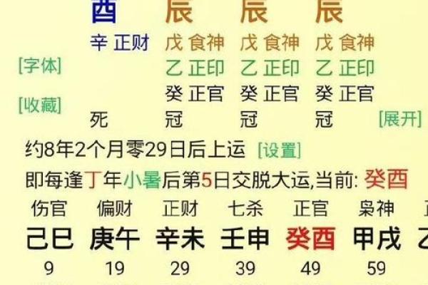 命局财旺之人的财富运势与成功之道