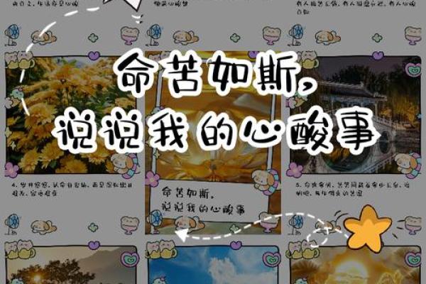 用“命”字开头的成语探讨：命运、命途、命悬、命中注定的深意与启示