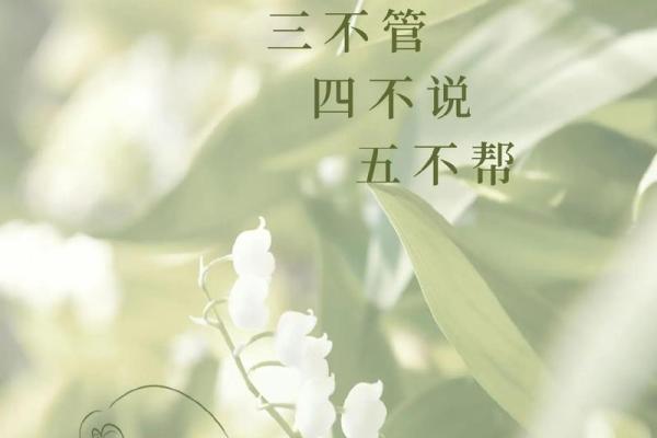 探索女人兑命：揭示女性命理的独特魅力与智慧
