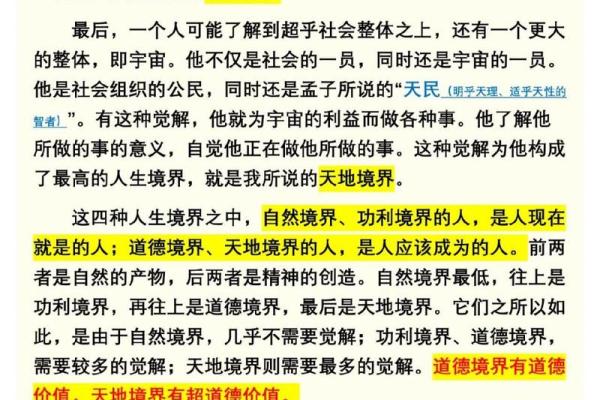 探秘林中兔命：从自然神秘到人生哲学的探索