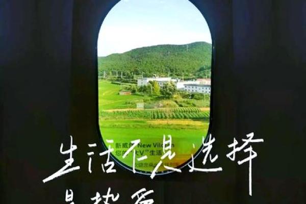 命带寡宿：解读命运中的孤独与自我成长