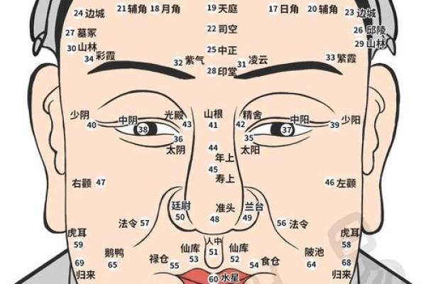 深入解析男日柱命主的命运特征与发展潜力