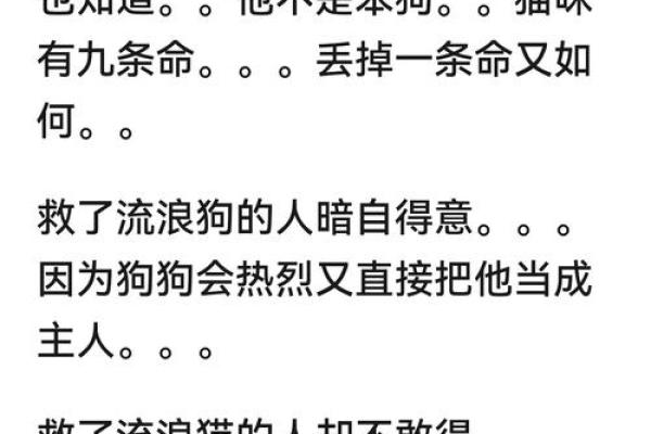 失去一条命的猫咪：陪伴与爱的深刻意义
